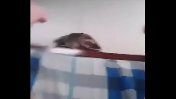 Trai vietnam suc cac ren rit 04