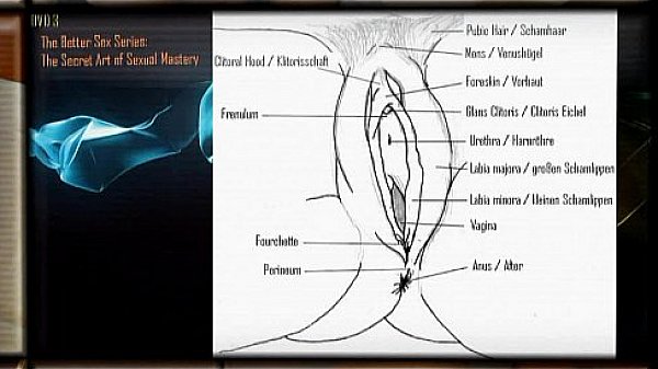 Wir werden Ihnen helfen Ihr Sex Leben bedeutend zu verbessern. Seri&ouml;s, Professio