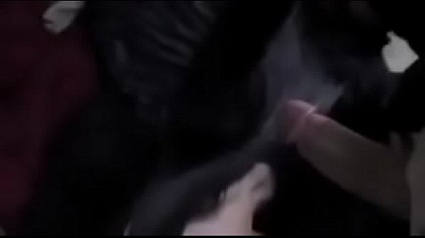 homemade big cock blowjob facial cumshot