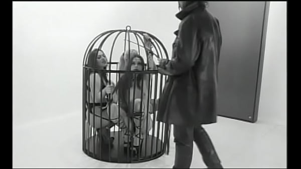 Horny babe moans as a huge dick penetrates her doggy inside a cage