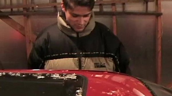 Sexy studs wanna be wild!