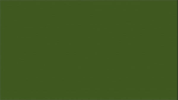 Eu usando a calcinha e a blusinha que peguei do varal dela Flavia