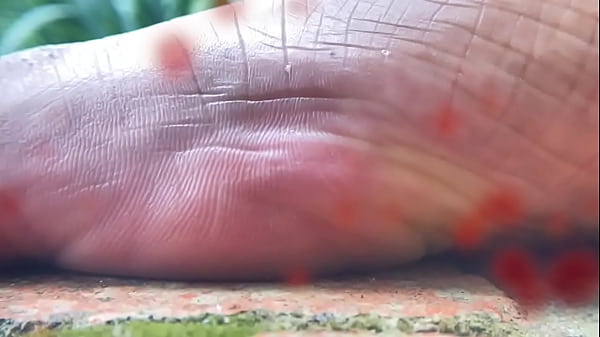 Little Men In My Garden