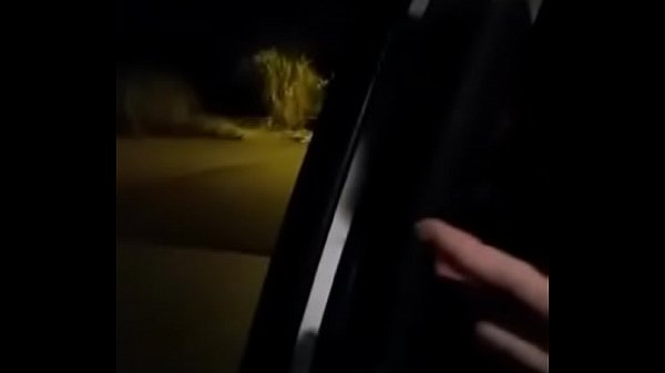 Trans campineira - 200 com local 