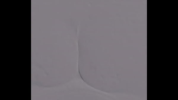 Doggy em Thuy&ecirc;n b&iacute;m kh&iacute;t