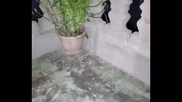 V&iacute;deo de verificaci&oacute;n