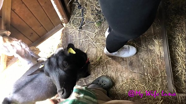 Esta zorra italiana quiere su gran polla todo el tiempo y no se cansa de ella