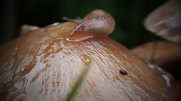 Ваше тіло під час сексу