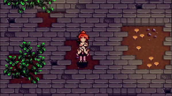 Xtardew Valley - Robin #4