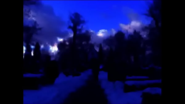 False Memory Syndrome - (Persistent Repetition Of Phrases)  