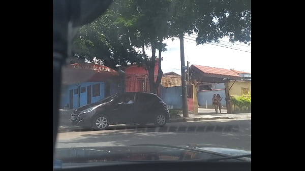 Putinhas em exposi&ccedil;&atilde;o