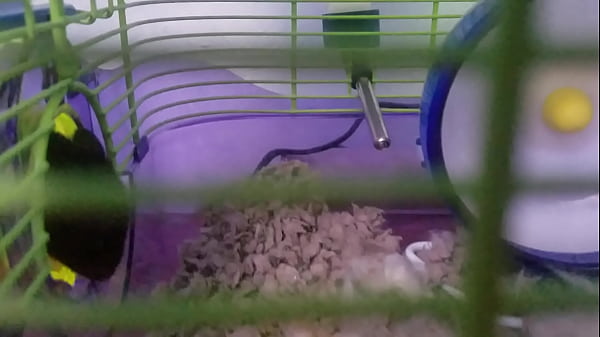 Trans boy can't hold piss adultbaby 