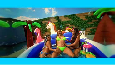 V&iacute;deo de verificaci&oacute;n  