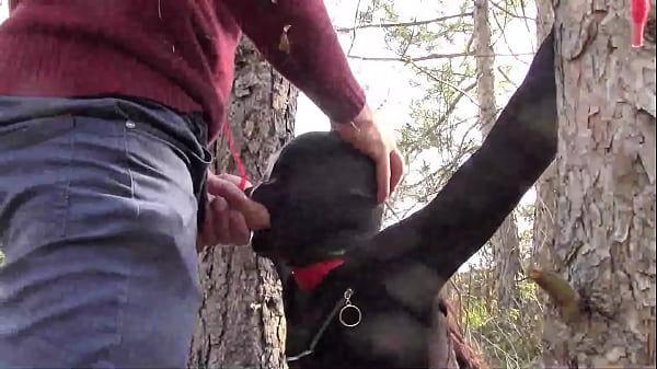 Laura on Hee step sister on public outside sex. She's tied up on stockings and heels, blindfolded waiting for to deepthroat a cock and to be hard fucked.