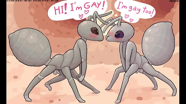 Gay Ant Yiff 