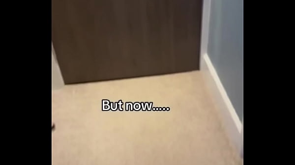 What should I make P1nkPlastic do tomorrow?