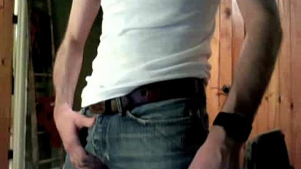 Breed N Seed b. Bear