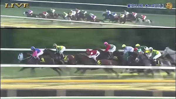 エリザベス女王杯  