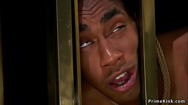 Mistress anal fingers black male slave in golden cage and makes him lick her pussy