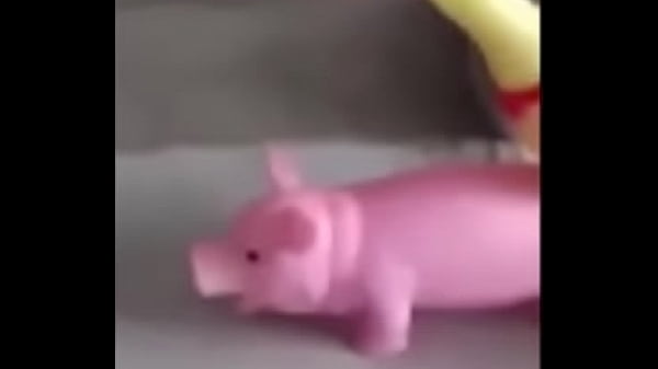 A Peppa Pig CAIU NA NET ! Whatsapp Videos Engra&ccedil;ados 2015