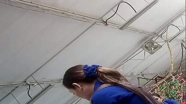 tributo a compa&ntilde;era de trabajo