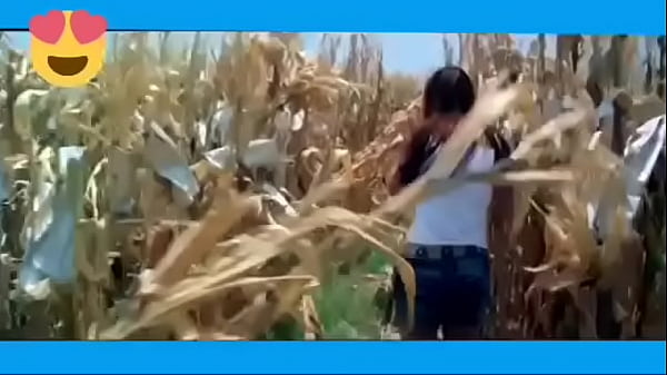 Ayesha Takia boobs bouncing