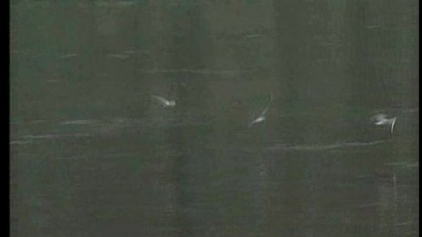 Megan - Dentro la mia notizia 1