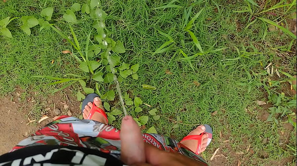 V&iacute;deo de verifica&ccedil;&atilde;o