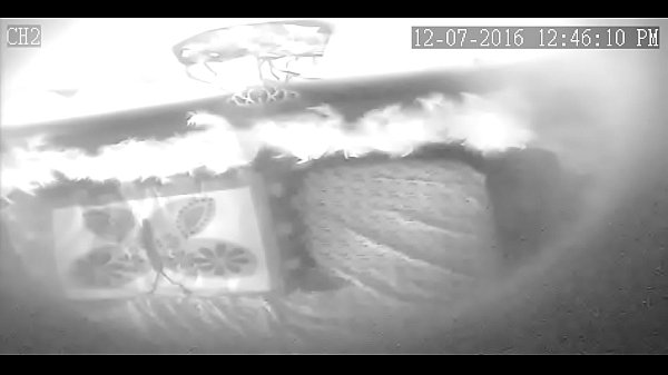 3137-4708-recfile -161207-120000-125959-00001200