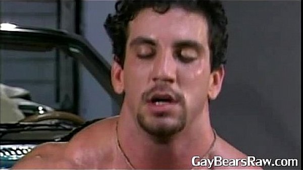 muscular bears ass breeding