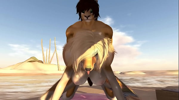 On The Beach ( Furry / Yiff )