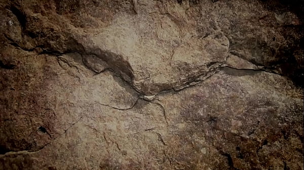 JAFARXXXX AZEEZI and PAN BASH