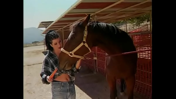 Horny girl gets her cunt and ass filled up with big cock