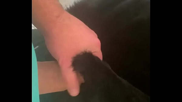 Caged & Collared in Black Downjacket &ndash; Blowjob, Doggy & Cum Finish 