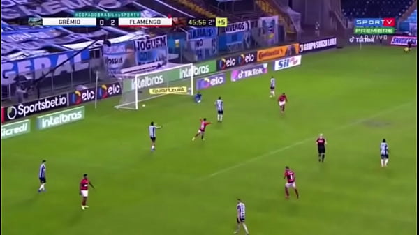 gremio x flamengo