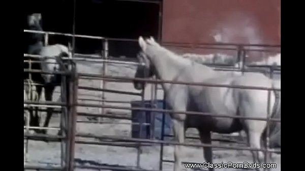 Noon Time Sex Break Outdoor