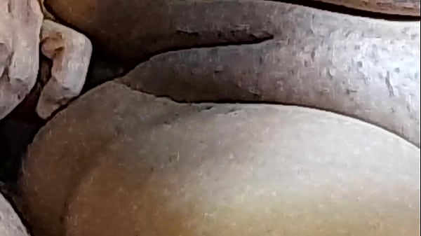 Casal brasileiros safados Pt 9 - Formiguinha Safada