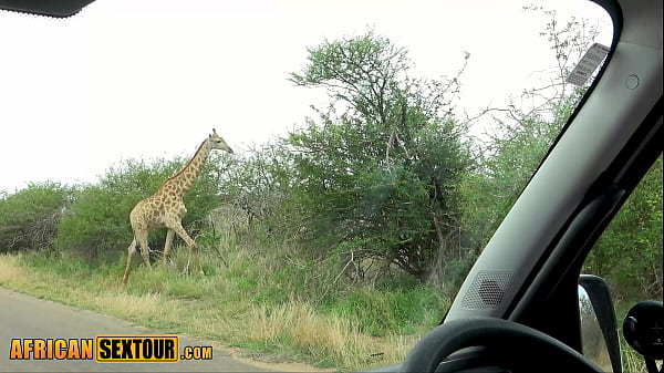 Dark skin Ebony teen saw an elephant and a giraffe and got horny