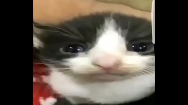 Hoy es el d&iacute;a del pap&uacute; :0