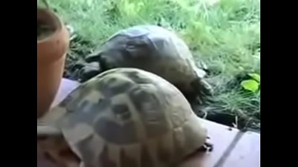 Culeo con gusto de Jos&eacute; y Daniela