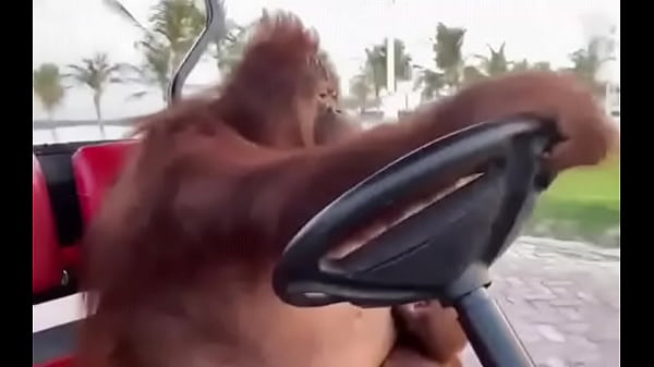 Fodendo com puta dentro do saveiro 