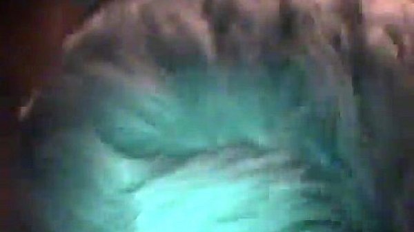 Hot gay sex But this time, Trace has ultra-cutie Nathan all to