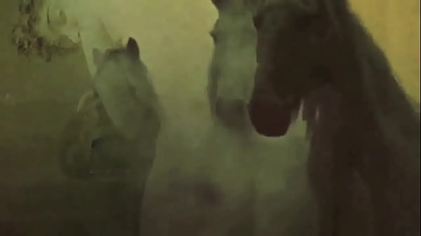 Dark Lantern Entertainments presents Retro Silent Movies  