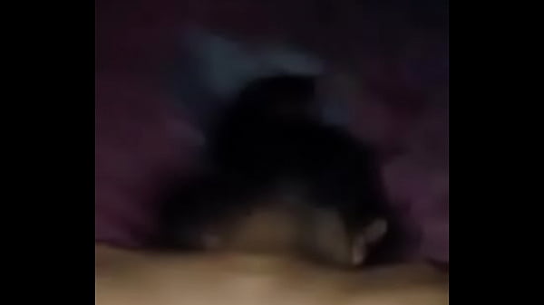 Me encanta recibir verga en cuatro