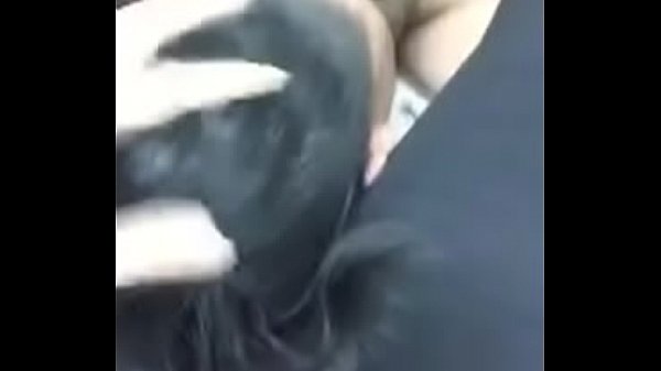 ( Ngửi H&aacute;ng Anh Kh&ocirc;ng?) Dog Sniffing my Crotch