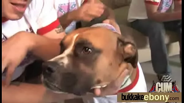 Ebony babe in group sex hardcore action 2