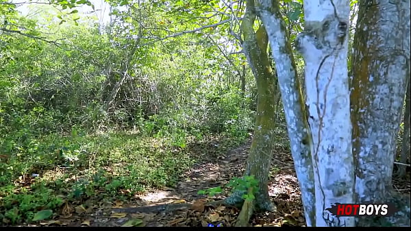 Vamos passear no bosque enquanto Sr Lobo n&atilde;o vem?! Vem com nosso Lan&ccedil;amento da Semana com Heytor e Bambam no caminho s ... 