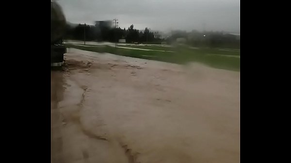 فيديو التحقق  