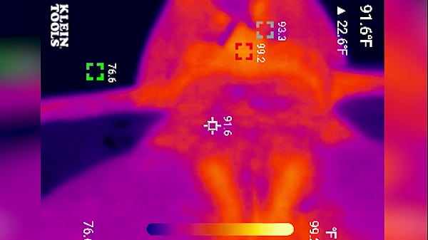 hottie seen on heat sensing camera