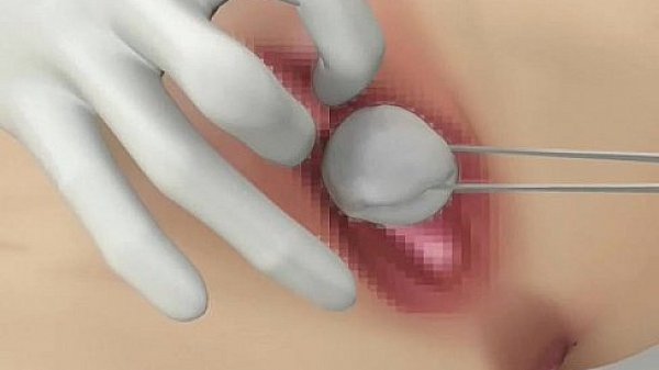 Big Beautiful Breasts  